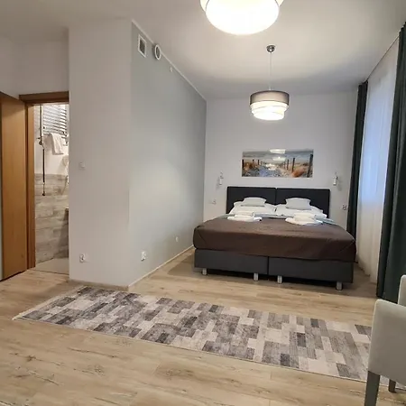 Apartment Chopina 29 *