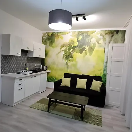 Apartmán Chopina 29