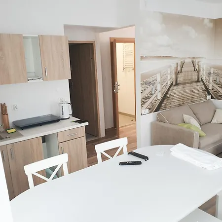 Chopina 29 Apartment *